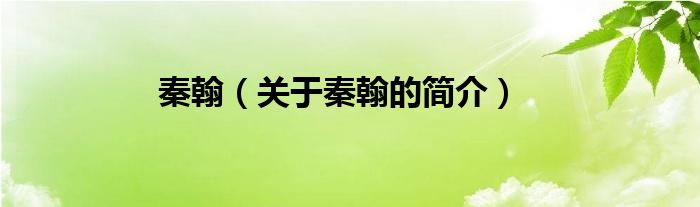 秦翰（關(guān)于秦翰的簡(jiǎn)介）