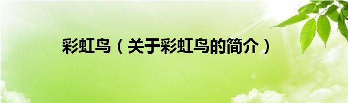 彩虹鳥（關(guān)于彩虹鳥的簡(jiǎn)介）