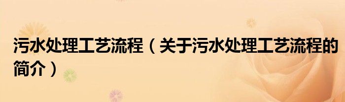 污水處理工藝流程（關于污水處理工藝流程的簡介）