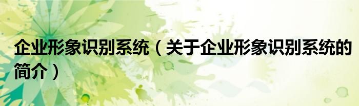 企業(yè)形象識別系統（關于企業(yè)形象識別系統的簡介）