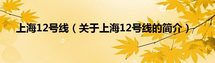 上海12號線（關(guān)于上海12號線的簡介）