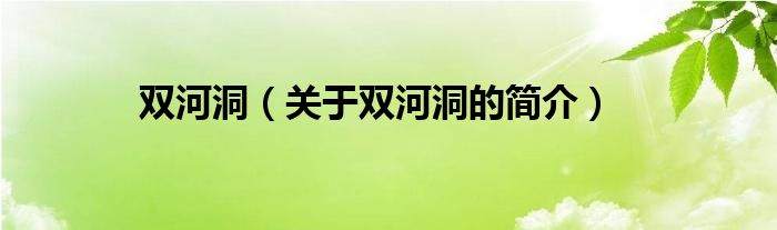 雙河洞（關(guān)于雙河洞的簡(jiǎn)介）