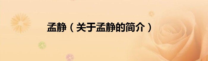 孟靜（關(guān)于孟靜的簡介）