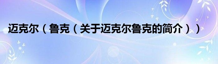 邁克爾（魯克（關(guān)于邁克爾魯克的簡(jiǎn)介））