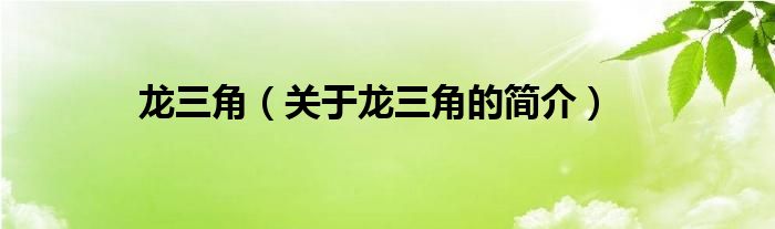 龍三角（關(guān)于龍三角的簡(jiǎn)介）