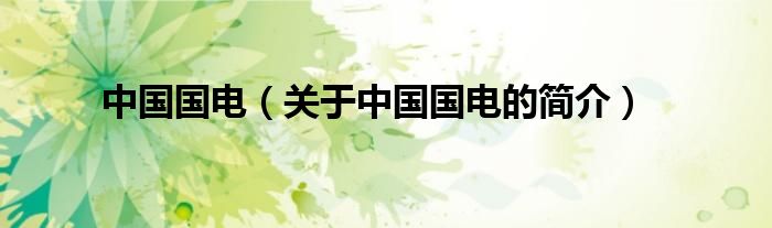 中國(guó)國(guó)電（關(guān)于中國(guó)國(guó)電的簡(jiǎn)介）