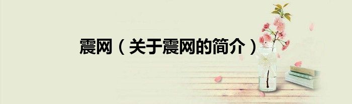 震網(wǎng)（關(guān)于震網(wǎng)的簡(jiǎn)介）