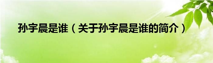 孫宇晨是誰(shuí)（關(guān)于孫宇晨是誰(shuí)的簡(jiǎn)介）