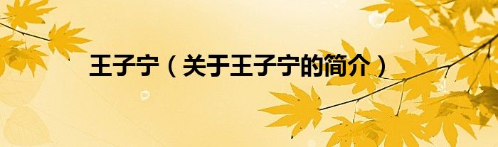 王子寧（關于王子寧的簡介）