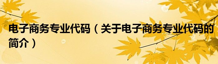 電子商務(wù)專業(yè)代碼（關(guān)于電子商務(wù)專業(yè)代碼的簡(jiǎn)介）