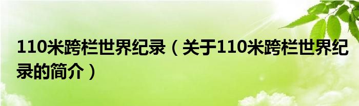 110米跨欄世界紀(jì)錄（關(guān)于110米跨欄世界紀(jì)錄的簡(jiǎn)介）