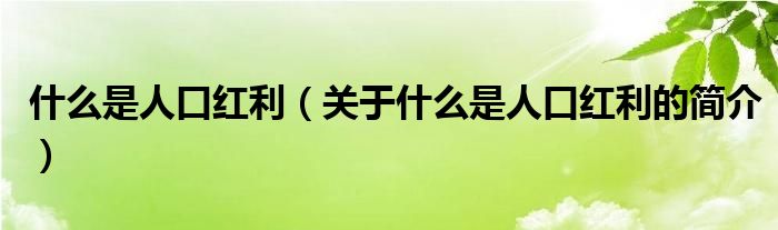 什么是人口紅利（關(guān)于什么是人口紅利的簡(jiǎn)介）