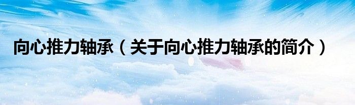 向心推力軸承（關(guān)于向心推力軸承的簡介）