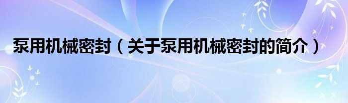 泵用機械密封（關(guān)于泵用機械密封的簡介）