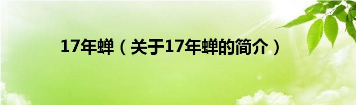 17年蟬（關(guān)于17年蟬的簡介）