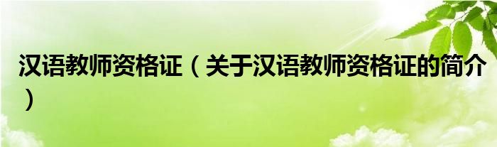 漢語教師資格證（關(guān)于漢語教師資格證的簡介）