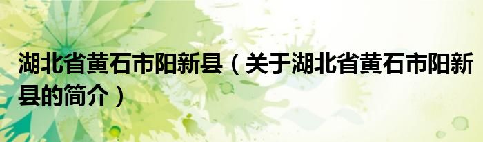 湖北省黃石市陽新縣（關(guān)于湖北省黃石市陽新縣的簡(jiǎn)介）