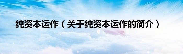 純資本運(yùn)作（關(guān)于純資本運(yùn)作的簡介）