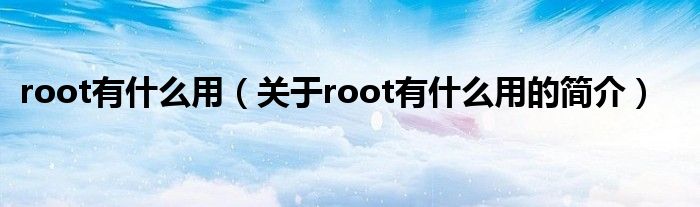 root有什么用（關(guān)于root有什么用的簡介）