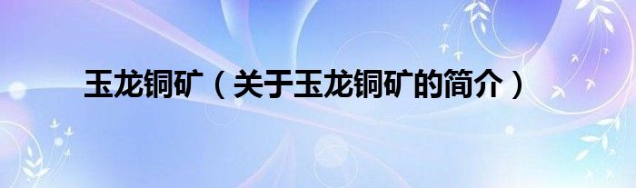 玉龍銅礦（關(guān)于玉龍銅礦的簡介）