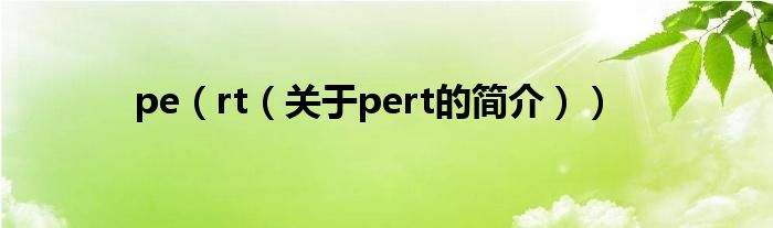 pe（rt（關(guān)于pert的簡(jiǎn)介））