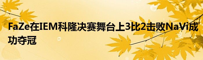 FaZe在IEM科隆決賽舞臺上3比2擊敗NaVi成功奪冠