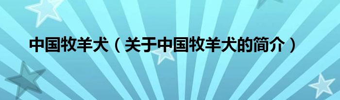 中國(guó)牧羊犬（關(guān)于中國(guó)牧羊犬的簡(jiǎn)介）