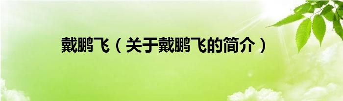 戴鵬飛（關(guān)于戴鵬飛的簡(jiǎn)介）