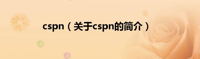 cspn（關(guān)于cspn的簡介）