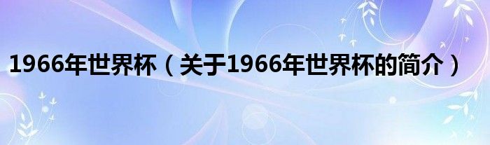 1966年世界杯（關于1966年世界杯的簡介）