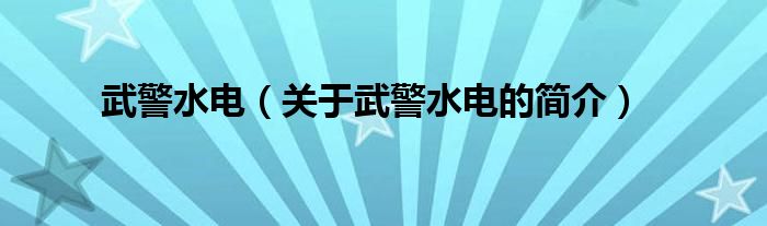 武警水電（關(guān)于武警水電的簡(jiǎn)介）