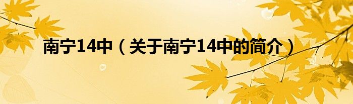 南寧14中（關(guān)于南寧14中的簡介）