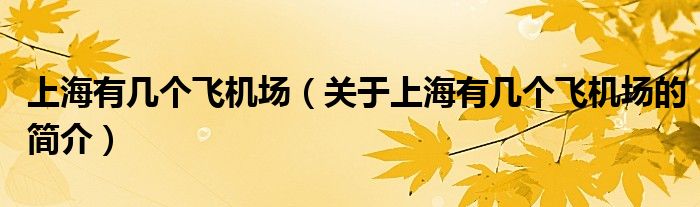 上海有幾個(gè)飛機(jī)場(chǎng)（關(guān)于上海有幾個(gè)飛機(jī)場(chǎng)的簡(jiǎn)介）