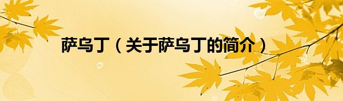 薩烏?。P(guān)于薩烏丁的簡介）