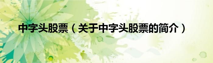 中字頭股票（關(guān)于中字頭股票的簡(jiǎn)介）