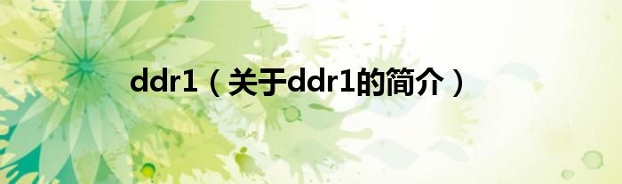 ddr1（關(guān)于ddr1的簡介）