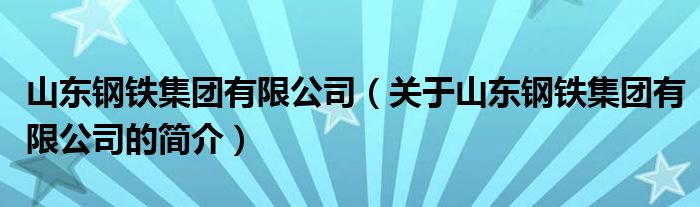 山東鋼鐵集團有限公司（關于山東鋼鐵集團有限公司的簡介）