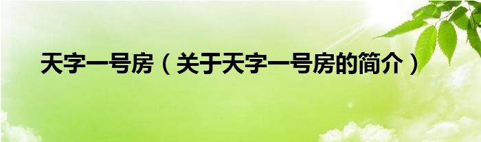 天字一號房（關(guān)于天字一號房的簡介）