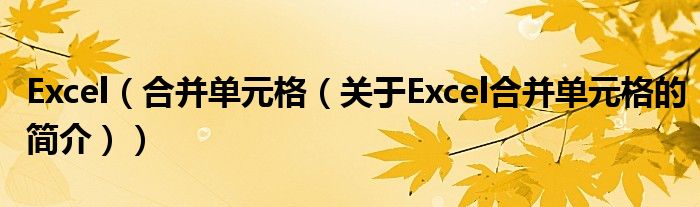 Excel（合并單元格（關(guān)于Excel合并單元格的簡介））