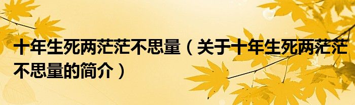 十年生死兩茫茫不思量（關(guān)于十年生死兩茫茫不思量的簡(jiǎn)介）