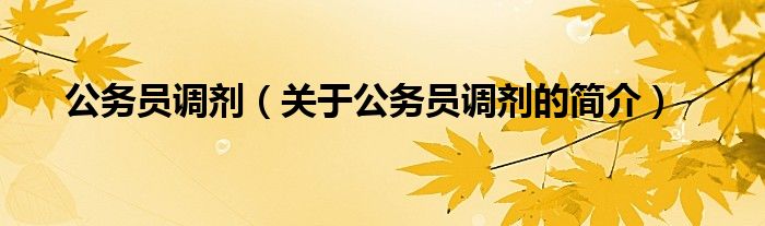 公務員調劑（關于公務員調劑的簡介）