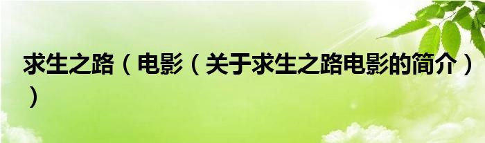 求生之路（電影（關(guān)于求生之路電影的簡(jiǎn)介））