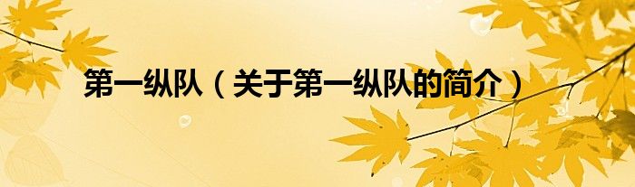 第一縱隊(duì)（關(guān)于第一縱隊(duì)的簡(jiǎn)介）