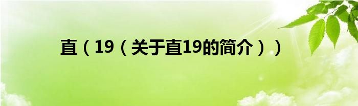 直（19（關(guān)于直19的簡(jiǎn)介））