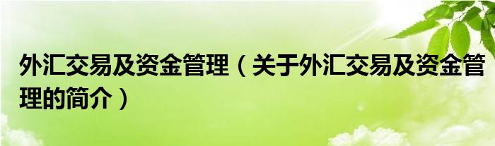 外匯交易及資金管理（關(guān)于外匯交易及資金管理的簡介）