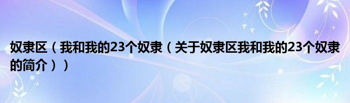 奴隸區(qū)（我和我的23個奴隸（關于奴隸區(qū)我和我的23個奴隸的簡介））