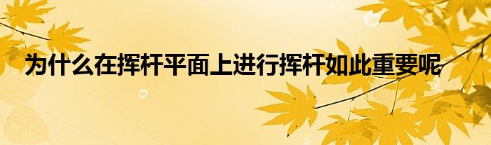 為什么在揮桿平面上進(jìn)行揮桿如此重要呢