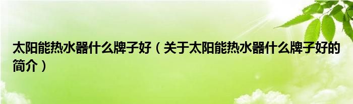 太陽能熱水器什么牌子好（關(guān)于太陽能熱水器什么牌子好的簡介）