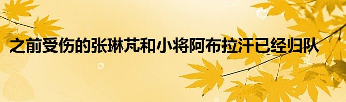 之前受傷的張琳芃和小將阿布拉汗已經(jīng)歸隊(duì)