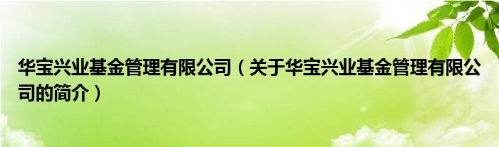 華寶興業(yè)基金管理有限公司（關于華寶興業(yè)基金管理有限公司的簡介）